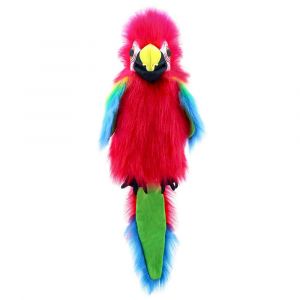 Large Birds - Amazon Macaw
