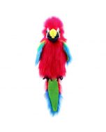 Large Birds - Amazon Macaw
