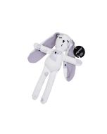 Cuddle Bunny - Koala