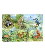 Nature Study - BIG 250 Piece Puzzle