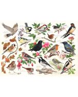 Birds In My Garden - 1000 Piece Puzzle