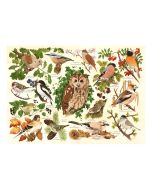 Woodland Birds - BIG 500 Piece Puzzle