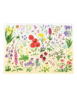 Wildflowers - 1000 Piece Puzzle