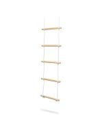 Climbing Ladder