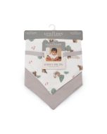 Little Linen Jersey Bib 2pk - Willow Bear