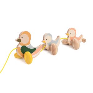 Pull Paddling Duck