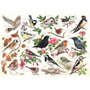 Birds In My Garden - 1000 Piece Puzzle