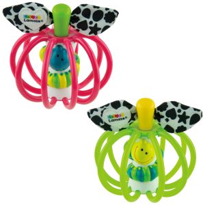 Grab Apple Assortment