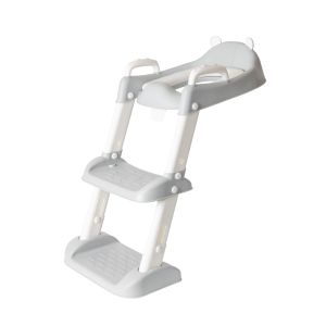 Toilet Ladder